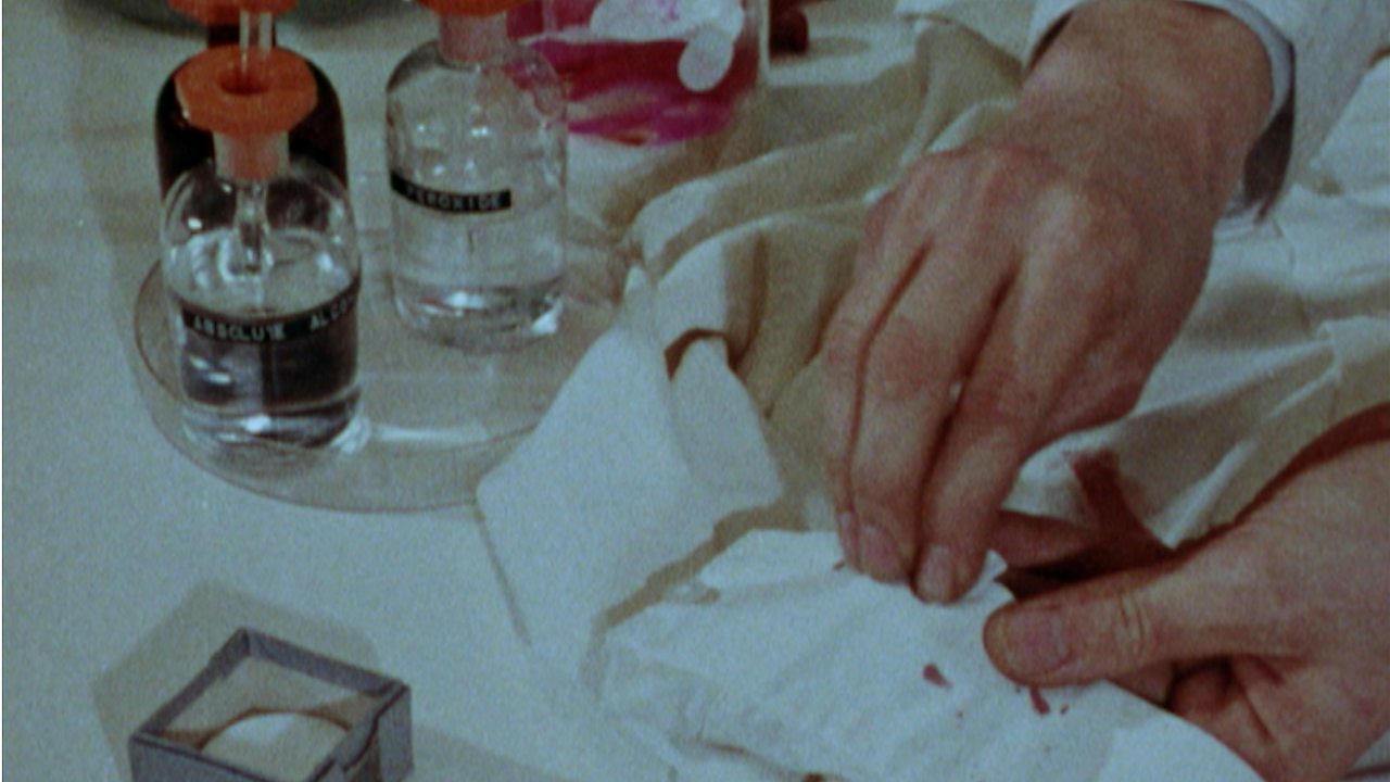 Horizon - Investigating Murder