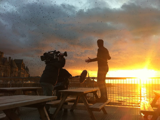 Starling shoot - Chris Packham being filmed against the murmurations at sunset