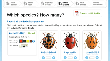 Screen shot of Ladybird Survey recording form