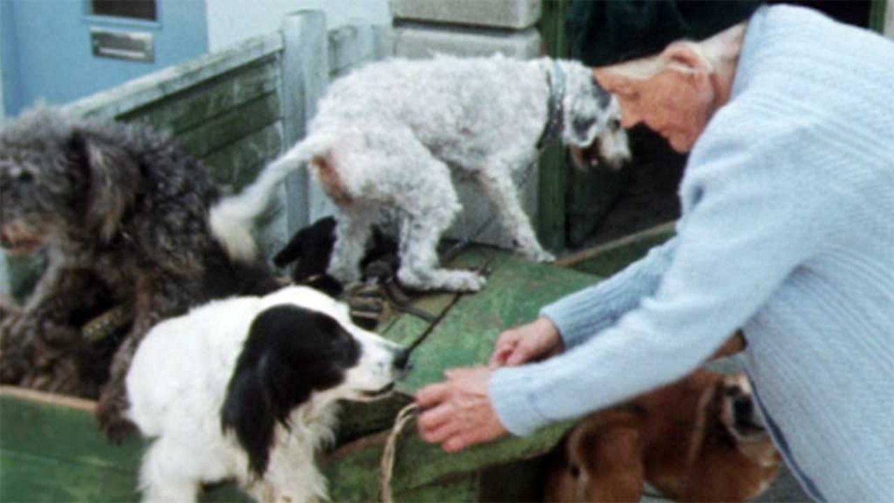 Camberley Kate and her 24 dogs, 1975