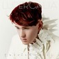 Patrick Wolf album cover 2011
