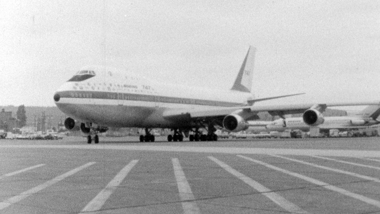 Tuesday Documentary - Jumbo