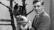 Sunday Post: Attenborough - the Early Years