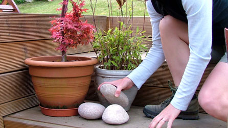 plants pots and stones on decking