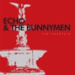 bunnymen.jpg