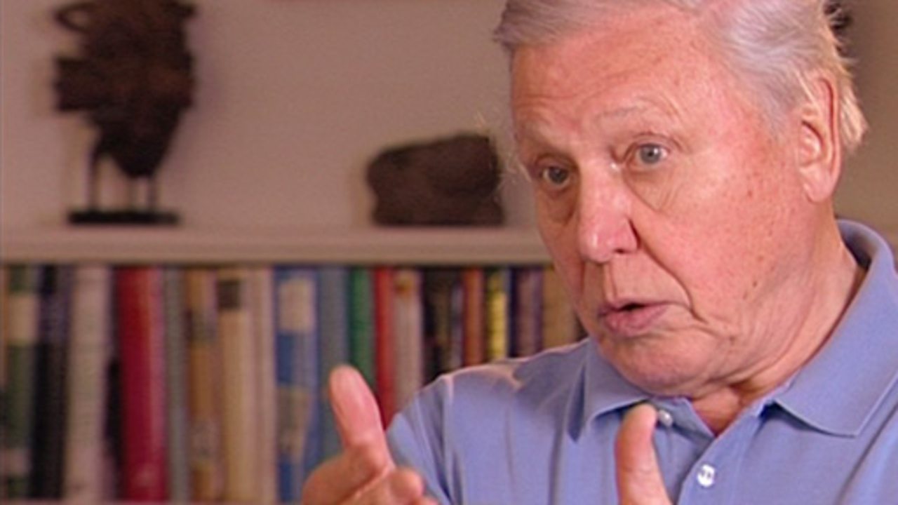 David Attenborough interview