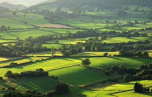 Green fields © Jilly W