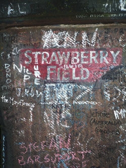 strawberry250.jpg
