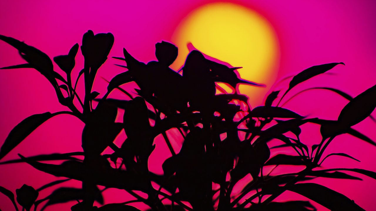 Beethoven: Horn Sonata in F major, Op 17