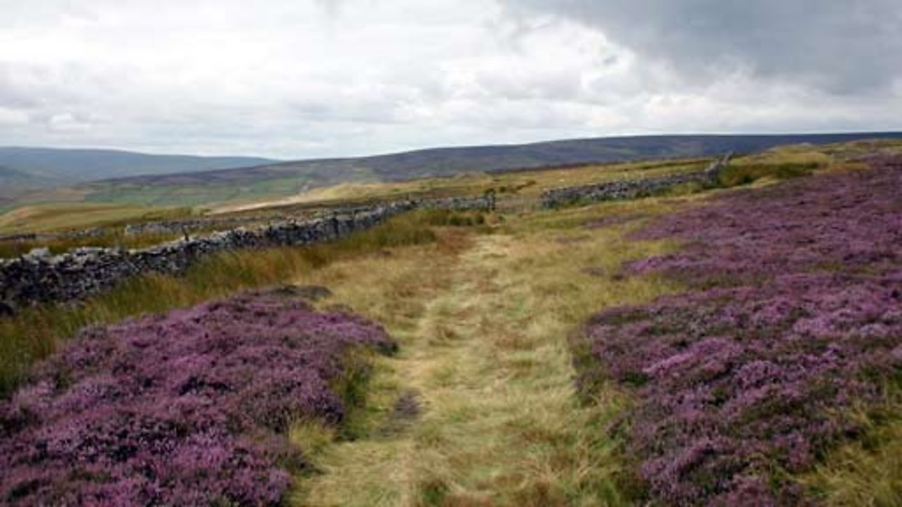 The Past at Work - Railway Mania, 1980