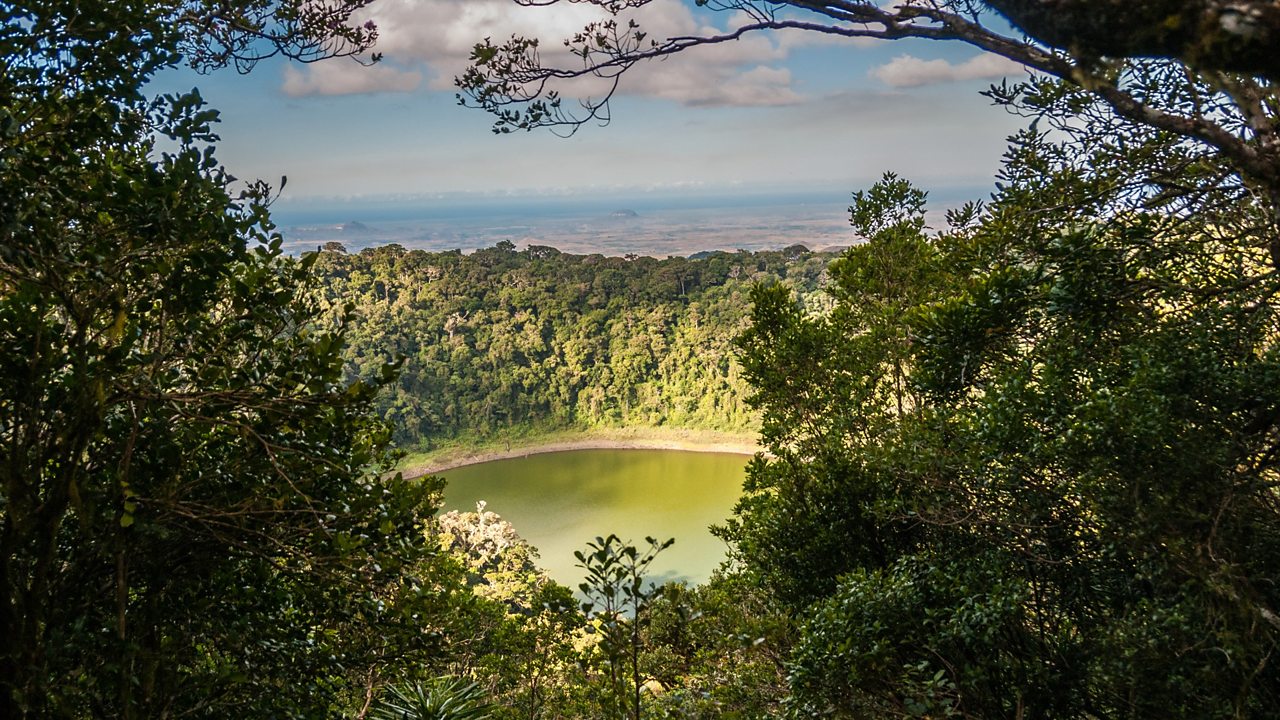 The Amber Mountain rainforest, Madagascar