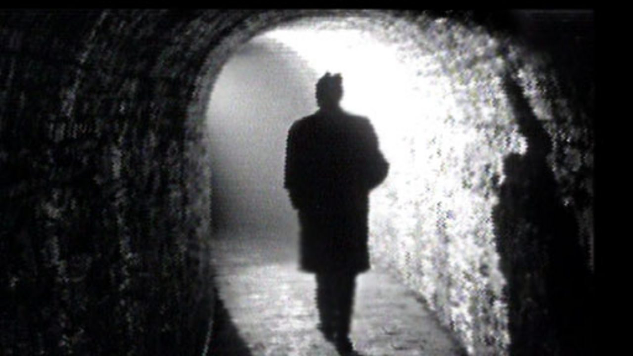 Roving Reporter - Annacloy Fairythorn