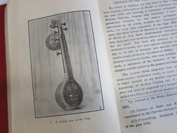 World Routes Academy - illustration of the veena