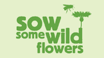 sow some wild flowers