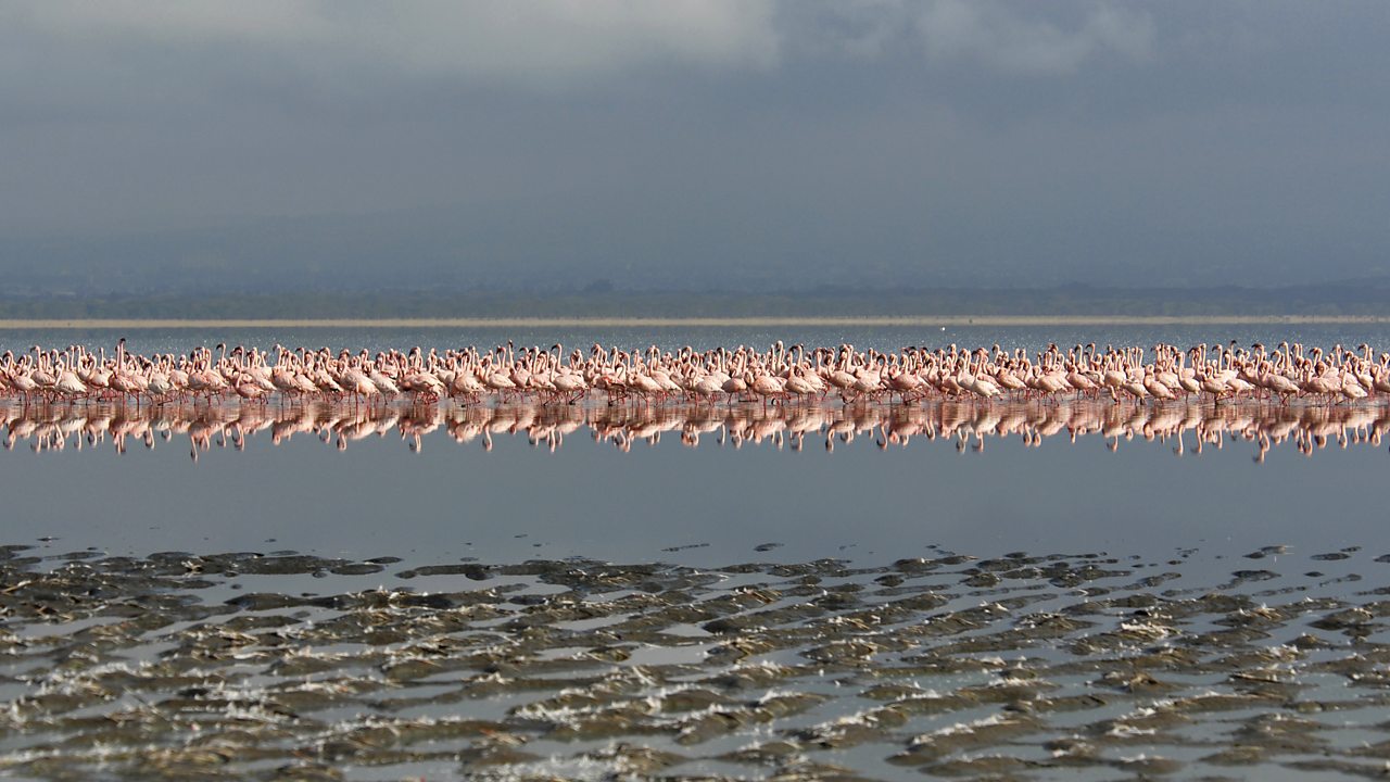 Roussel: Symphony No. 3 in G minor, Op 42