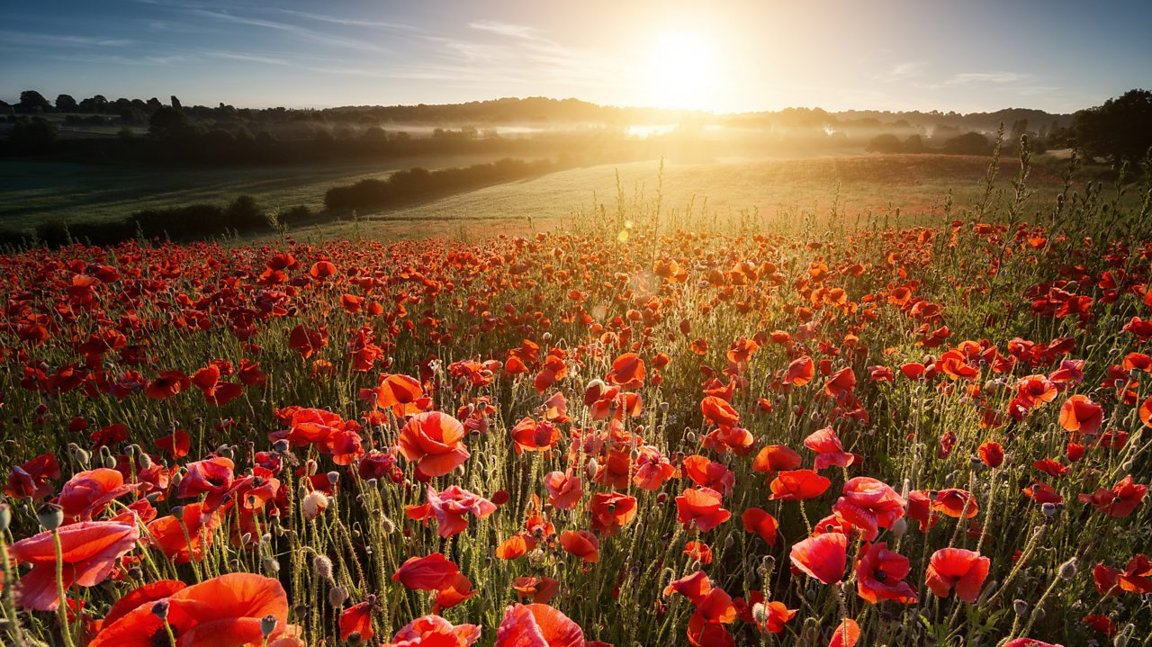 Ravel: Le Tombeau de Couperin