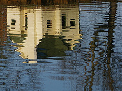 Duck House by Circulating