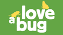 love a bug