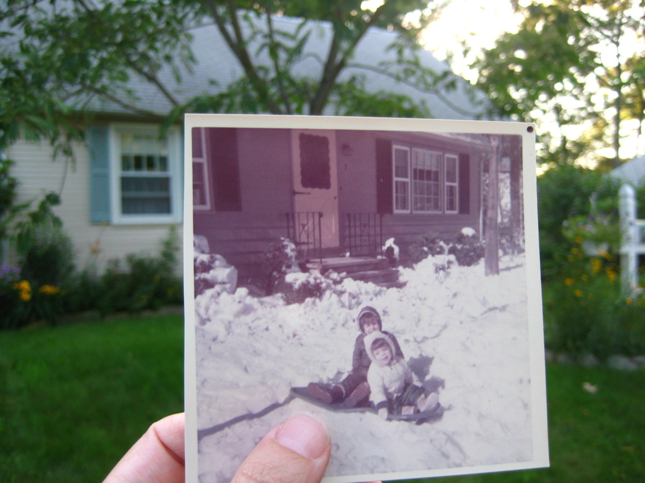 A photo from the www.dearphotograph.com website