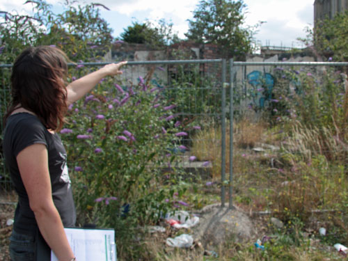 Emma sees a butterfly